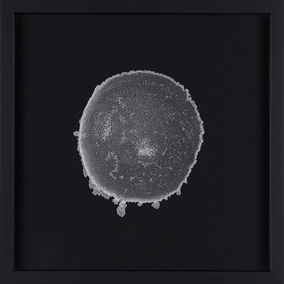 Saltscape 9th March 2020