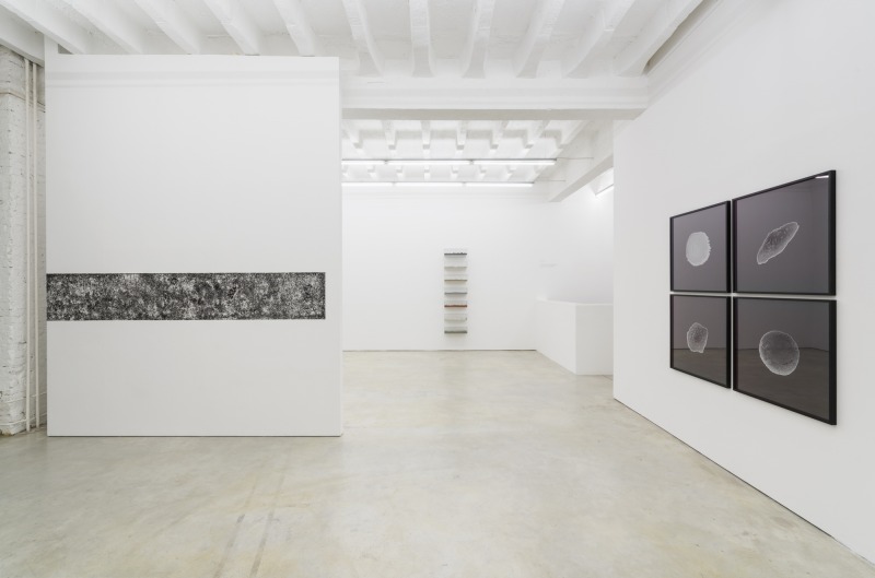 Installation view, 'Configured Landscapes'