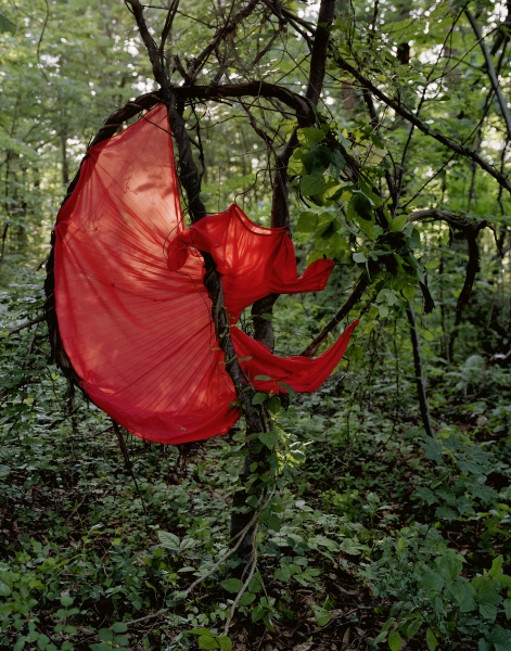 Red Spin, 2005