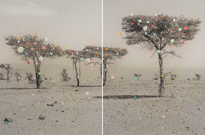 Reminder of the Savannah Diptych #3 (Acacia Tree Forest in Sahara)