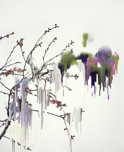 Untitled (Sakura 7)