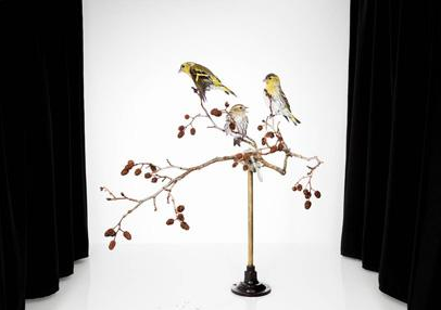 The State Prize for Photographic Art to Sanna Kannisto