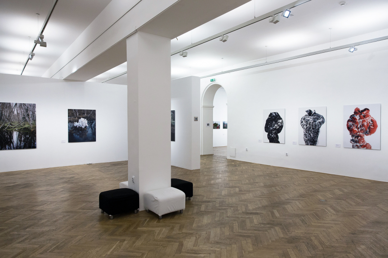 Installation view, 'Independence Through the Lenses'