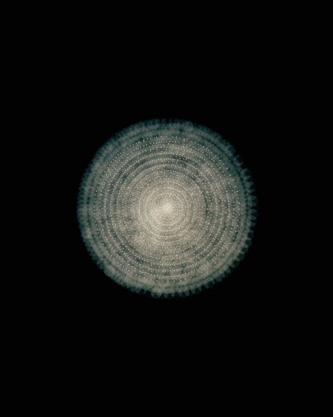 Cepheid Variable I, 2011