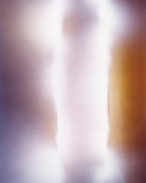 Veil of Vibrant Reds, 2007