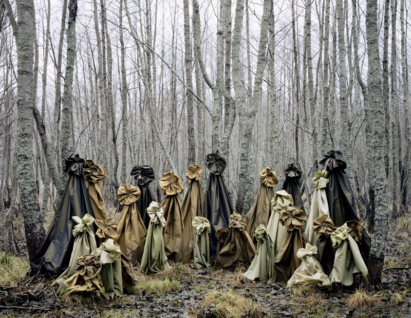The Courtiers, 2026
