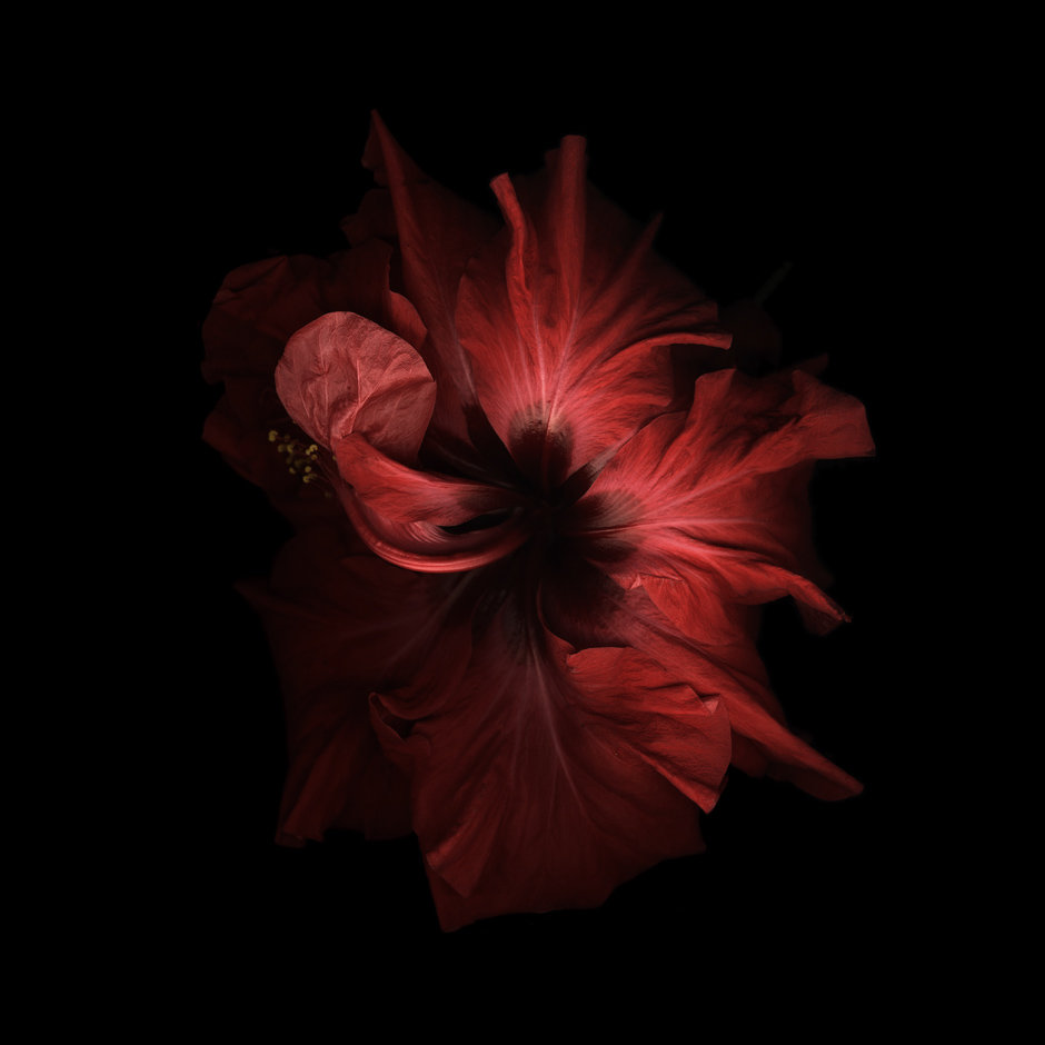 Red I, 2006-2010