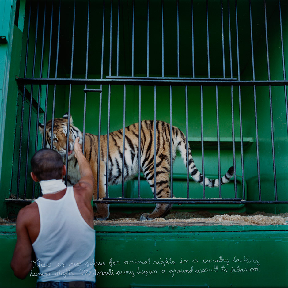 Untitled (Animal rights, 29.6.2006)