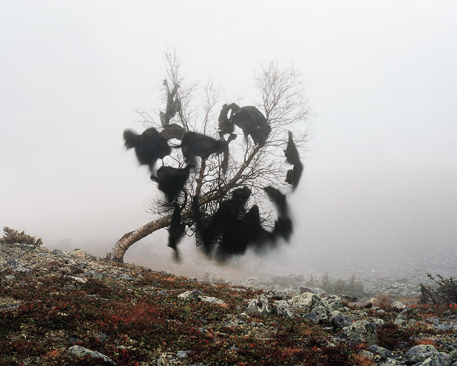 WIND´S NEST, 2005
