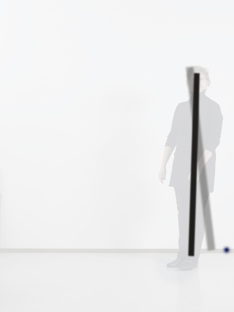 TILA (spatial changes 3), 2014