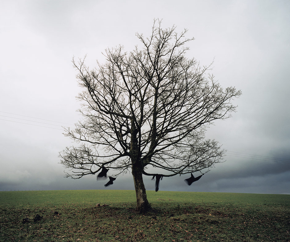 RAVENS, 2000