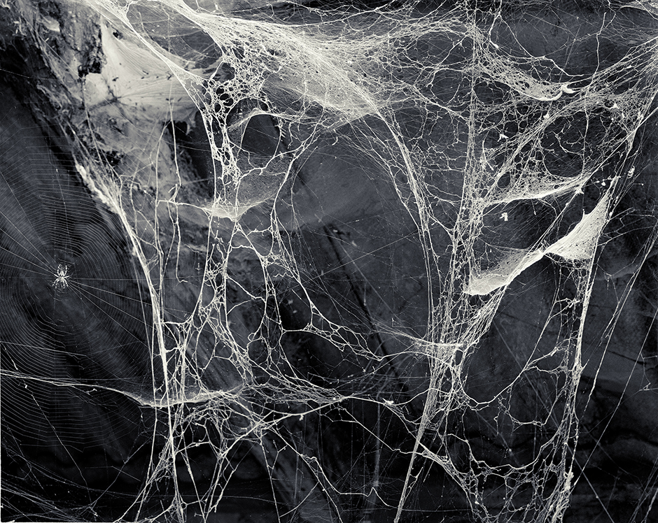 The Spider, 1992