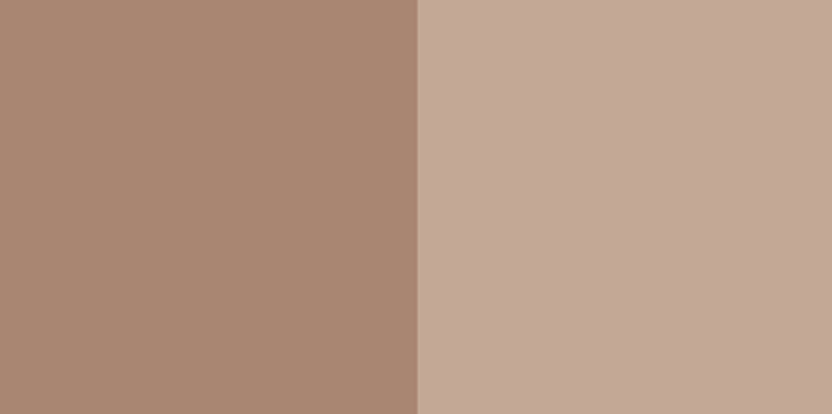 Skin I_I (1 x 2 pixels), 2012