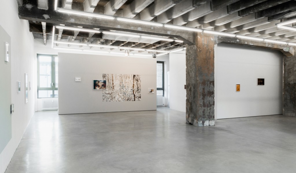 Installation view, 'Light of Other Days'