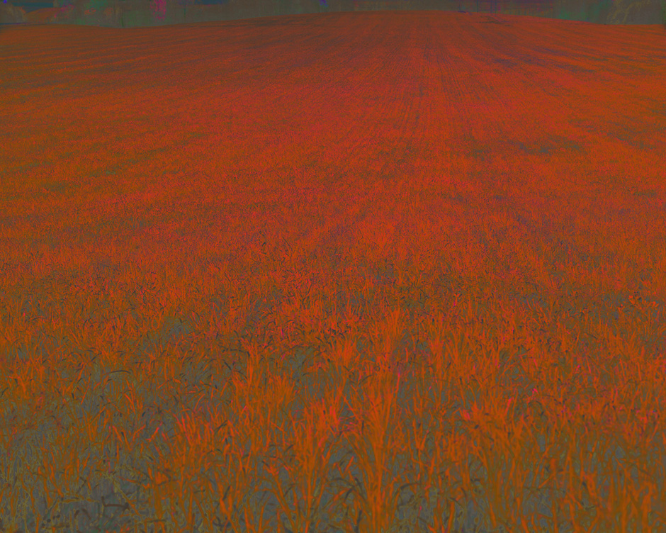 Green (Field # 2), 2006–2008 