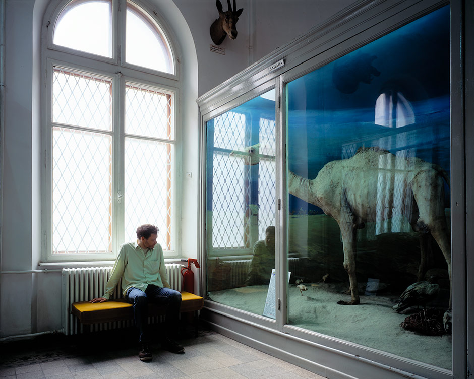 Studying Dromedary