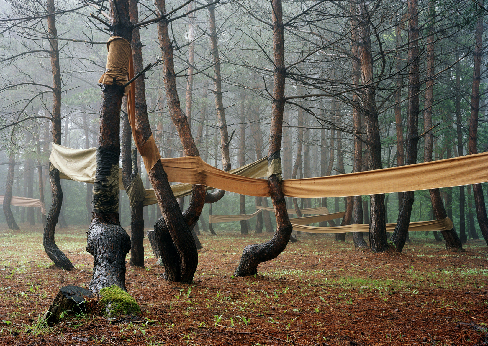 Riita P iv l inen At GSA Gallery News Persons Projects
