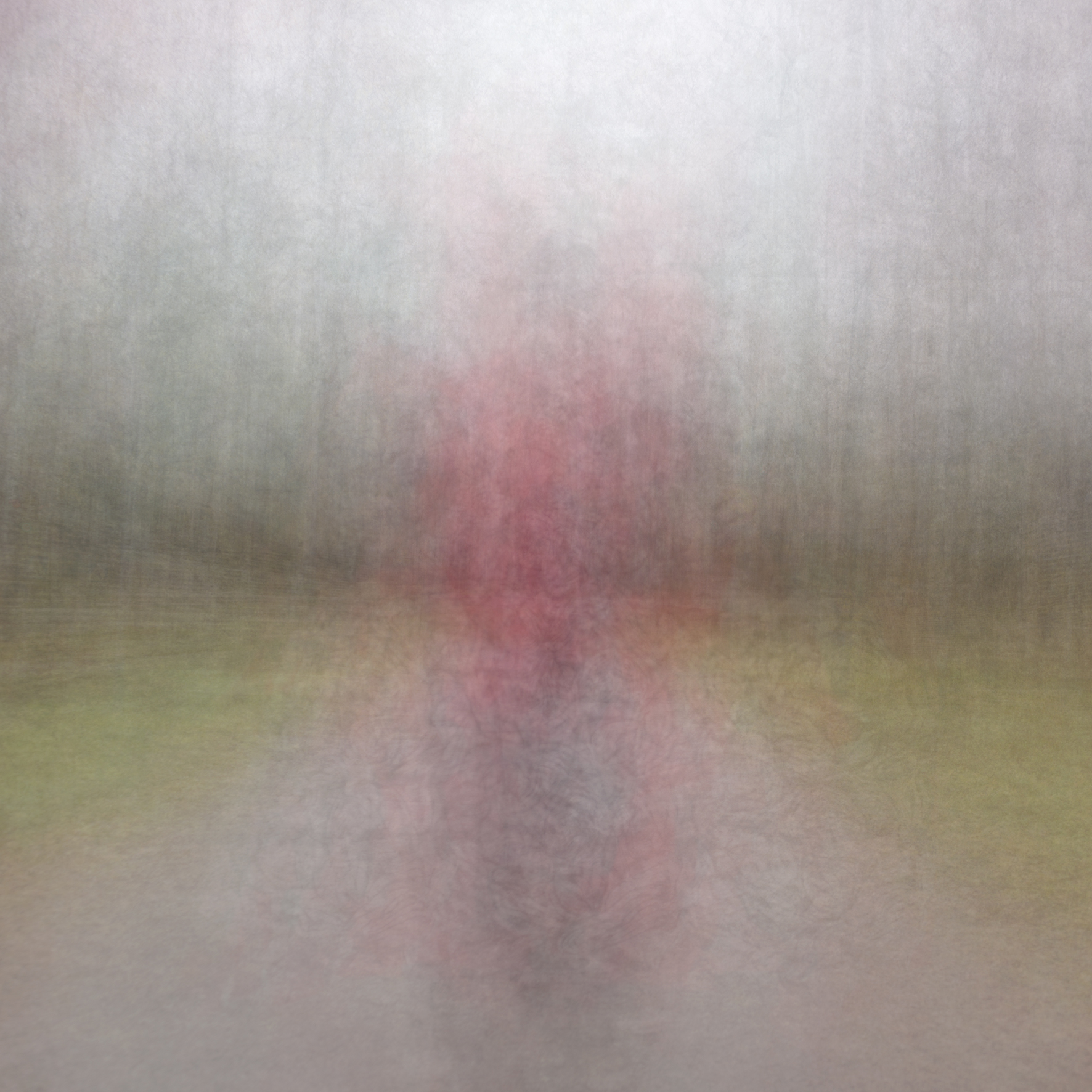 Path (hue) scarlet, 2016 