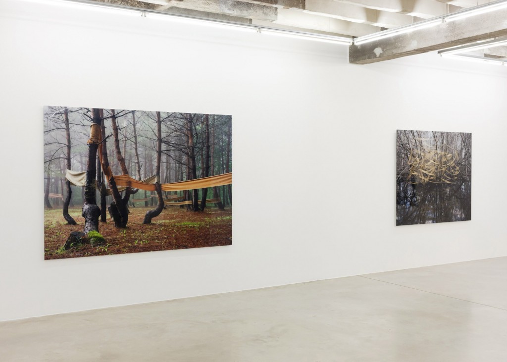 Installation view, 'River Notes'