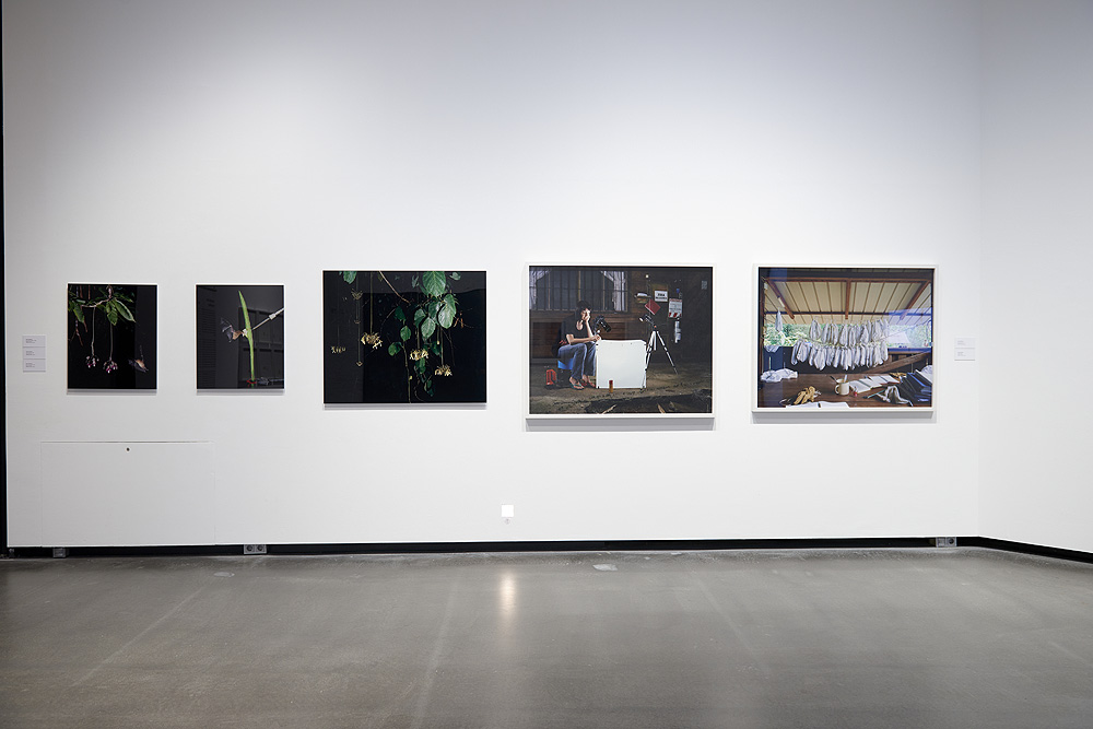 Installation view, 'Frischer Wind aus dem Norden!'