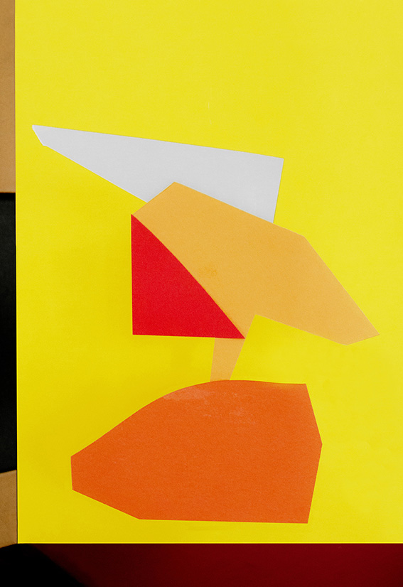 Numeritos 5, 2019