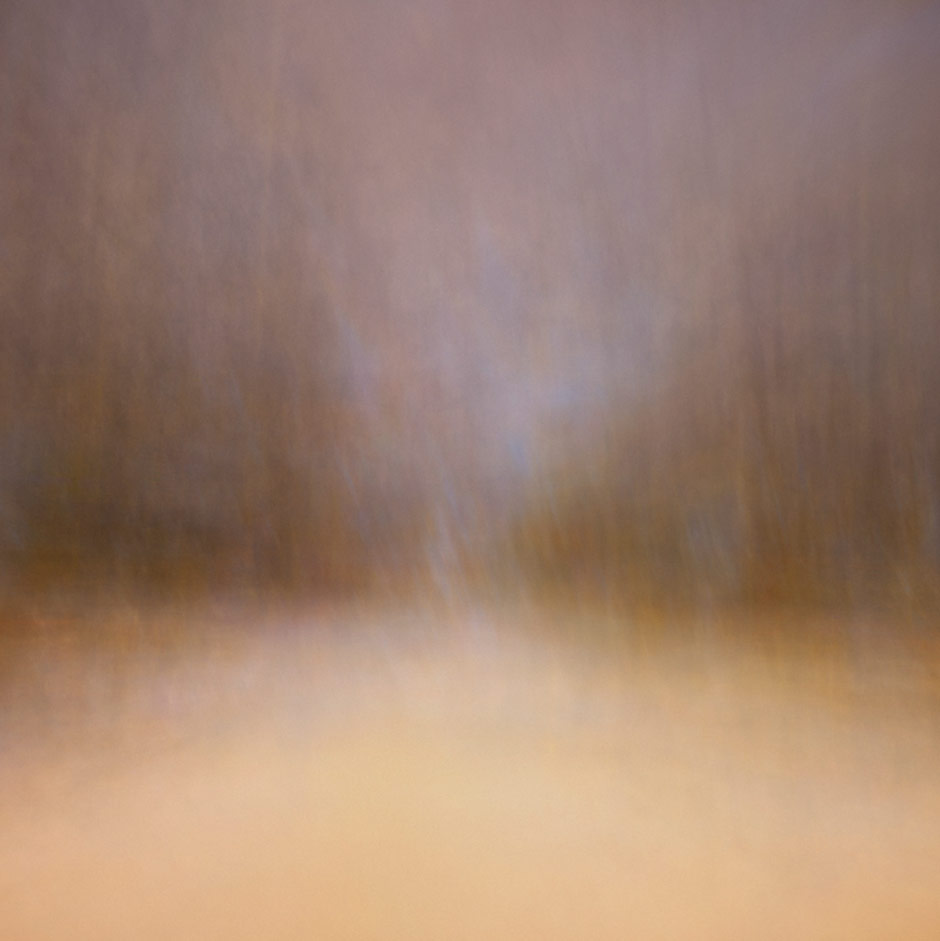 Path (glow) 5, 2015
