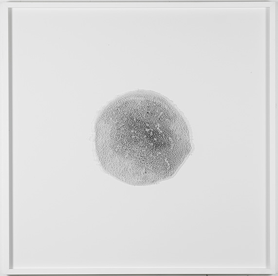 Saltscape