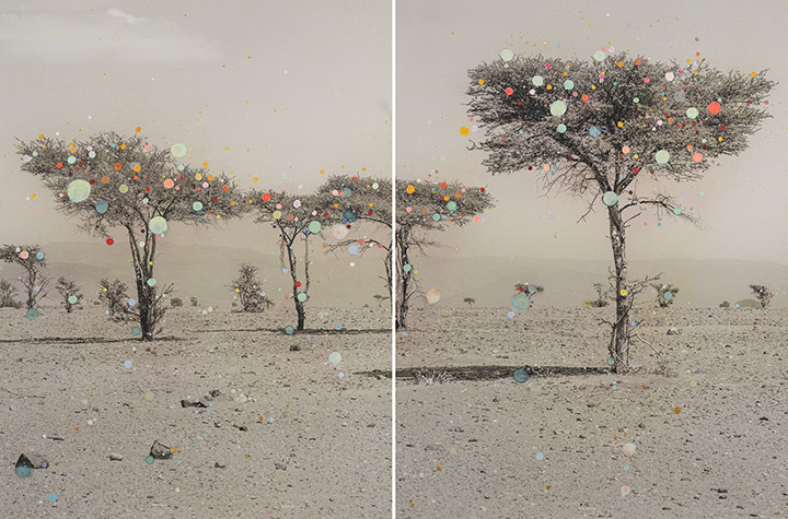 Reminder of the Savannah Diptych #3 (Acacia Tree Forest in Sahara)