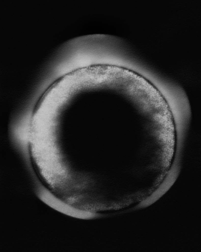 M.A.C.H.O. (Massive Compact Halo Object), 2011