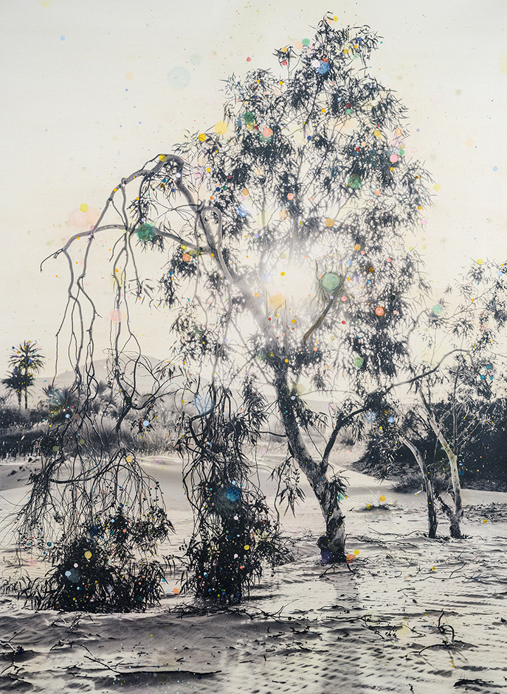 Tree of Life #4 (Eucalyptus in Sahara)
